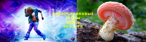 индика Горно-Алтайск