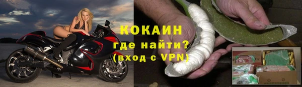 индика Горно-Алтайск