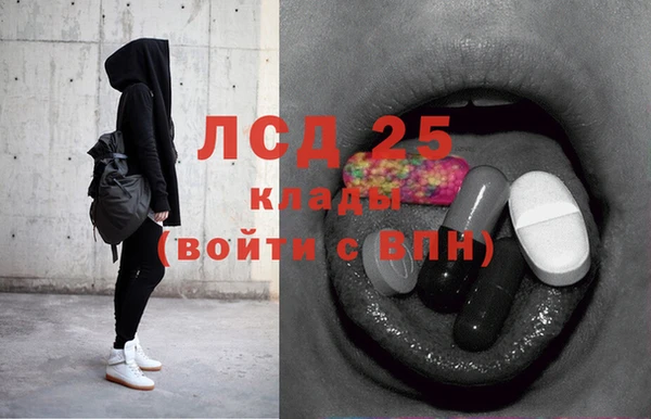 индика Горно-Алтайск