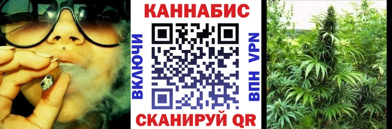 Купить  Пудож  МАРИХУАНА ГИДРОПОН 
